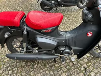 Sell Honda Fury® Base 2025 - 3700 EUR, 351 km - AUTO.MOTO.pt