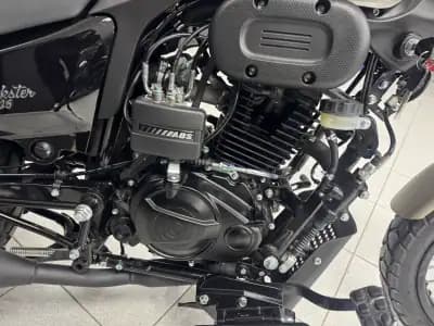 Vendo mota 2025 - 2790 EUR, 0 km - AUTO.MOTO.pt