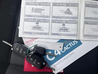 Sell Citroën C4 Cactus 2020 - 14000 EUR, 150000 km - AUTO.MOTO.pt