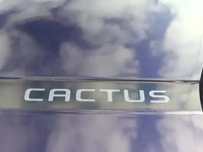 Sell Citroën C4 Cactus 2019 - 13750 EUR, 79000 km - AUTO.MOTO.pt