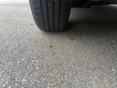 Vendo Renault Clio Sport Tourer 2014 - 7890 EUR, 179000 km - AUTO.MOTO.pt