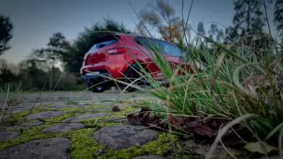 Sell Renault Clio 2014 - 17700 EUR, 146000 km - AUTO.MOTO.pt