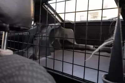 Vendo Toyota Corolla 1994 - 3999 EUR, 339582 km - AUTO.MOTO.pt